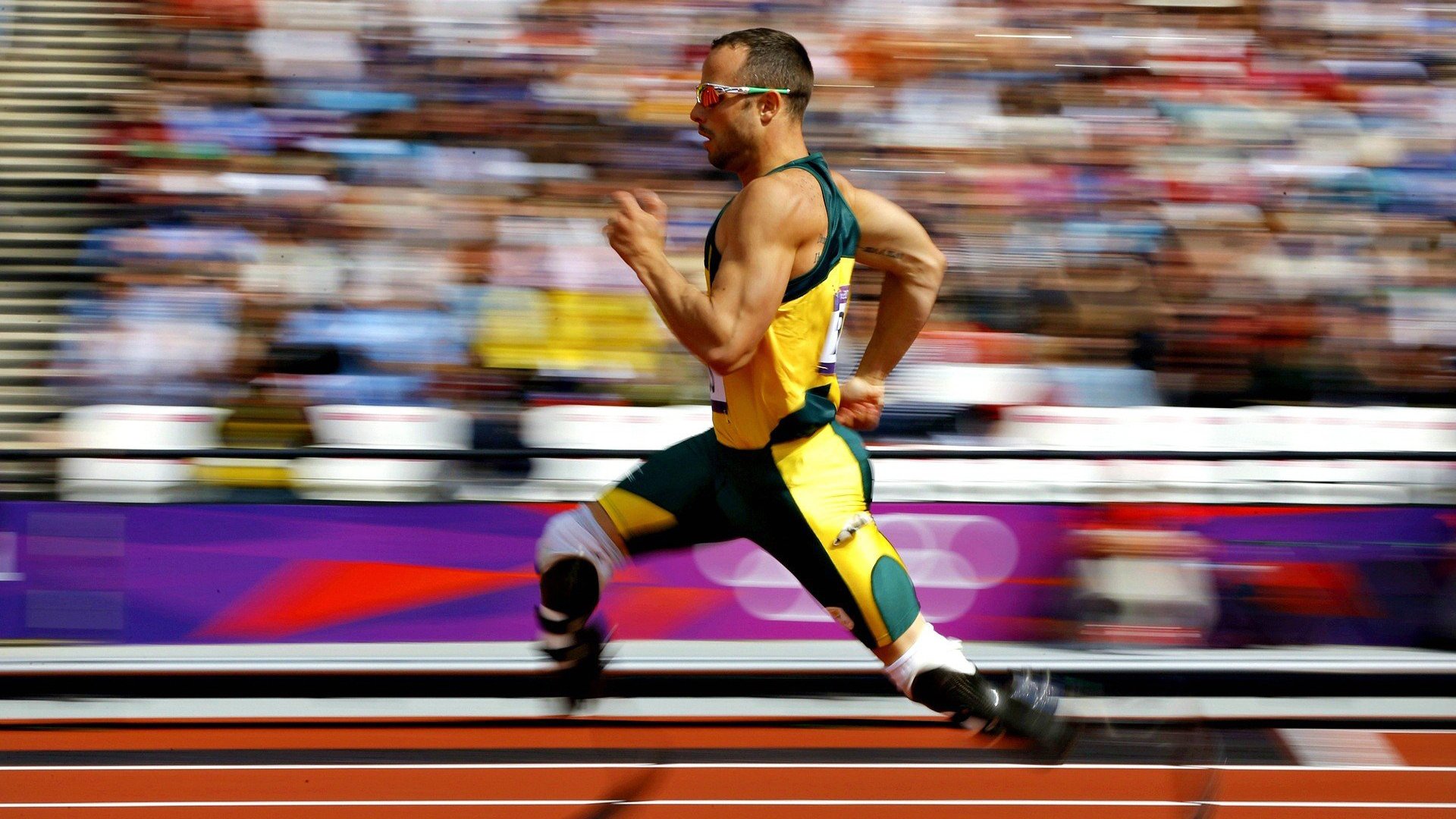 世界足球协会联合推动绿色赛事,倡导可持续发展,世界足球协会官网